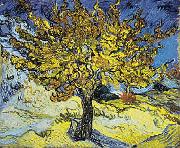 Vincent Van Gogh Mulberry Tree China oil painting reproduction